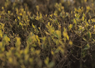A Slow Motion Shot of Indian Wedding Jewellery in India