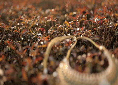 A Slow Motion Shot of Indian Wedding Jewellery in India