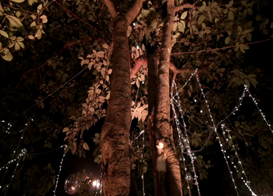 A Slow Motion Shot of an Indian Wedding Venue Decoration in India