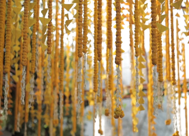 A Slow Motion Shot of an Indian Wedding Venue Decoration in India