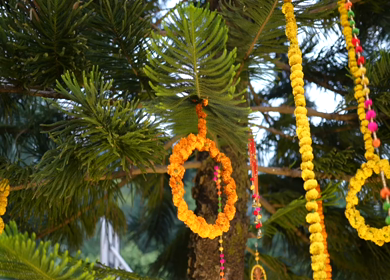 A Slow Motion Shot of an Indian Wedding Venue Decoration in India