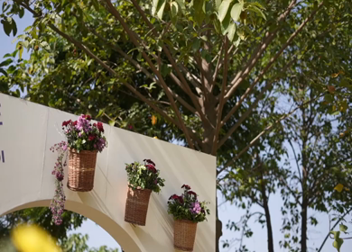 A Slow Motion Shot of an Indian Wedding Venue Decoration in India