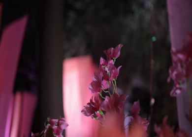 A Slow Motion Shot of an Indian Wedding Venue Decoration in India