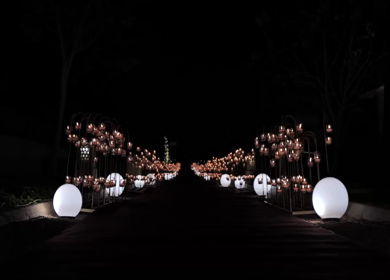 A Slow Motion Shot of an Indian Wedding Venue Decoration in India