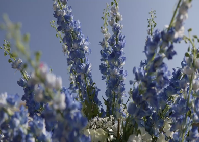 A Slow Motion Shot of an Indian Wedding Venue Decoration in India