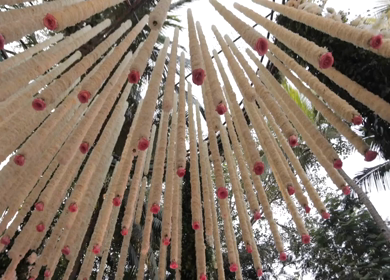 A Slow Motion Shot of an Indian Wedding Venue Decoration in India