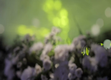 A Slow Motion Shot of an Indian Wedding Venue Decoration in India