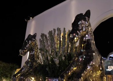 A Slow Motion Shot of an Indian Wedding Venue Decoration in India