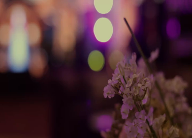 A Slow Motion Shot of an Indian Wedding Venue Decoration in India