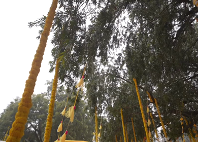 A Slow Motion Shot of an Indian Wedding Venue Decoration in India