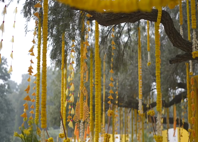 A Slow Motion Shot of an Indian Wedding Venue Decoration in India