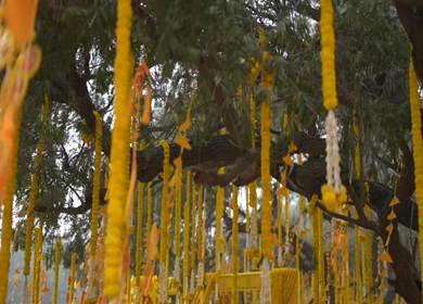 A Slow Motion Shot of an Indian Wedding Venue Decoration in India