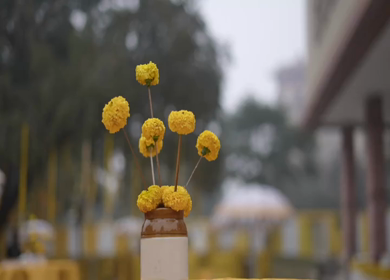 A Slow Motion Shot of an Indian Wedding Venue Decoration in India