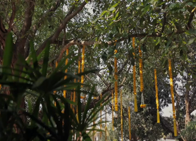 A Slow Motion Shot of an Indian Wedding Venue Decoration in India
