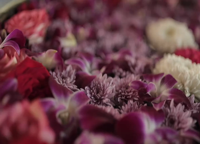 A Slow Motion Shot of an Indian Wedding Venue Decoration in India