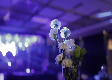A Slow Motion Shot of an Indian Wedding Venue Decoration in India