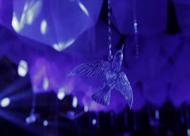 A Slow Motion Shot of an Indian Wedding Venue Decoration in India