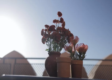A Slow Motion Shot of an Indian Wedding Venue Decoration in India