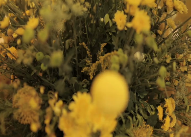 A Slow Motion Shot of an Indian Wedding Venue Decoration in India