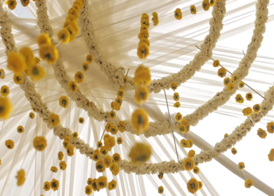 A Slow Motion Shot of an Indian Wedding Decoration in India