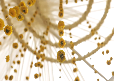 A Slow Motion Shot of an Indian Wedding Decoration in India