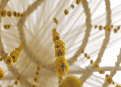 A Slow Motion Shot of an Indian Wedding Decoration in India