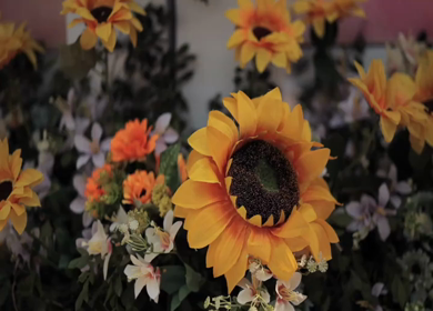 A Slow Motion Shot of an Indian Wedding Venue Decoration in India