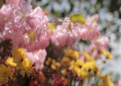 A Slow Motion Shot of an Indian Wedding Venue Decoration in India