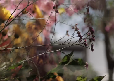 A Slow Motion Shot of an Indian Wedding Venue Decoration in India