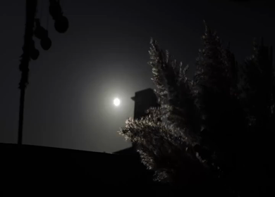 A Slow Motion Shot of an Indian Wedding Venue Decoration in India
