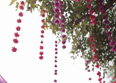 A Slow Motion Shot of an Indian Wedding Venue Decoration in India