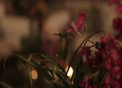 A Slow Motion Shot of an Indian Wedding Venue Decoration in India