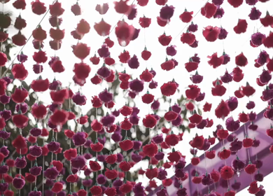 A Slow Motion Shot of an Indian Wedding Venue Decoration in India