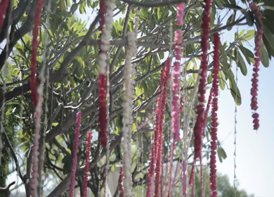 A Slow Motion Shot of an Indian Wedding Venue Decoration in India