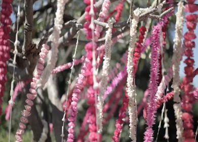 A Slow Motion Shot of an Indian Wedding Venue Decoration in India