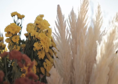 A Slow Motion Shot of an Indian Wedding Venue Decoration in India