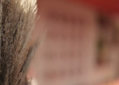 A Slow Motion Shot of an Indian Wedding Venue Decoration in India
