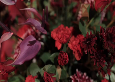 A Slow Motion Shot of an Indian Wedding Venue Decoration in India