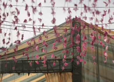 A Slow Motion Shot of an Indian Wedding Venue Decoration in India