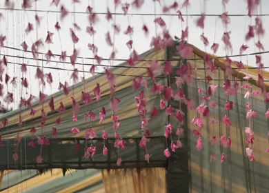 A Slow Motion Shot of an Indian Wedding Venue Decoration in India
