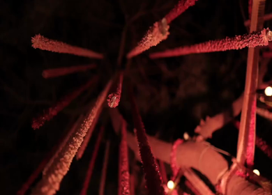 A Slow Motion Shot of an Indian Wedding Venue Decoration in India