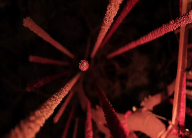 A Slow Motion Shot of an Indian Wedding Venue Decoration in India