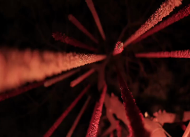 A Slow Motion Shot of an Indian Wedding Venue Decoration in India