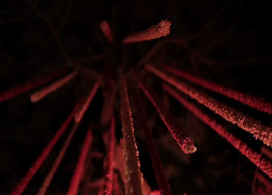A Slow Motion Shot of an Indian Wedding Venue Decoration in India