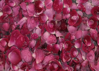 A Slow Motion Shot of an Indian Wedding Venue Decoration in India