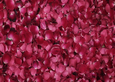 A Slow Motion Shot of an Indian Wedding Venue Decoration in India