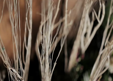 A Slow Motion Shot of an Indian Wedding Venue Decoration in India