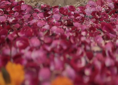 A Slow Motion Shot of an Indian Wedding Venue Decoration in India