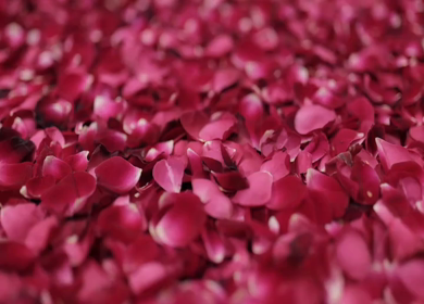 A Slow Motion Shot of an Indian Wedding Venue Decoration in India