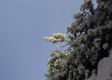 A Slow Motion Shot of an Indian Wedding Venue Decoration in India